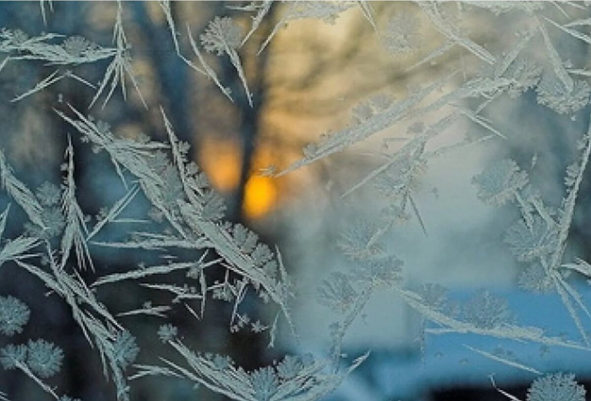 фото яндекс картинки