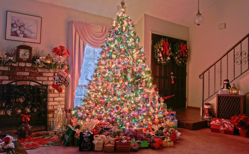 Фото: Яндекс картинки