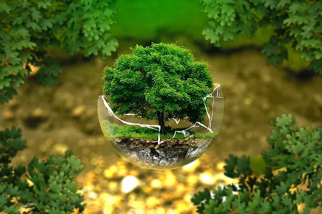 Источник: Pixabay 
