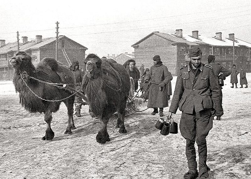 Окрестности Сталинграда (1943)