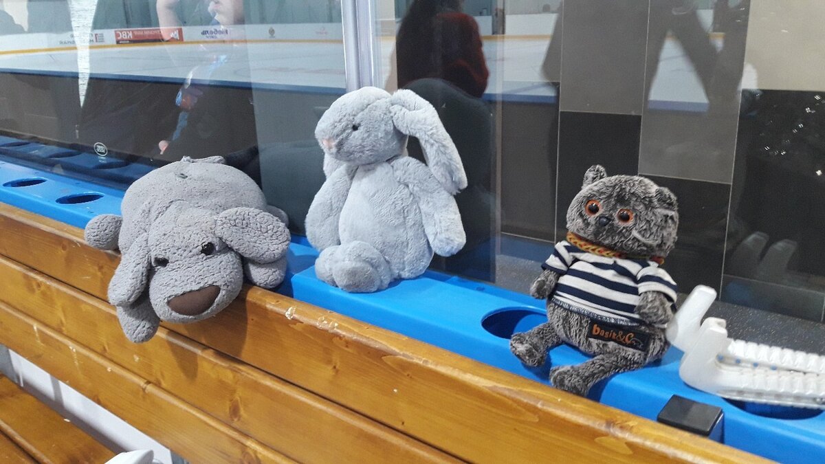 Как сейчас живет и чем занимается знаменитый фигурист Александр Смирнов ...