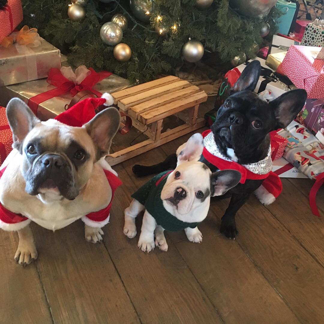 Фото из открытого источника Яндекс.картинки.