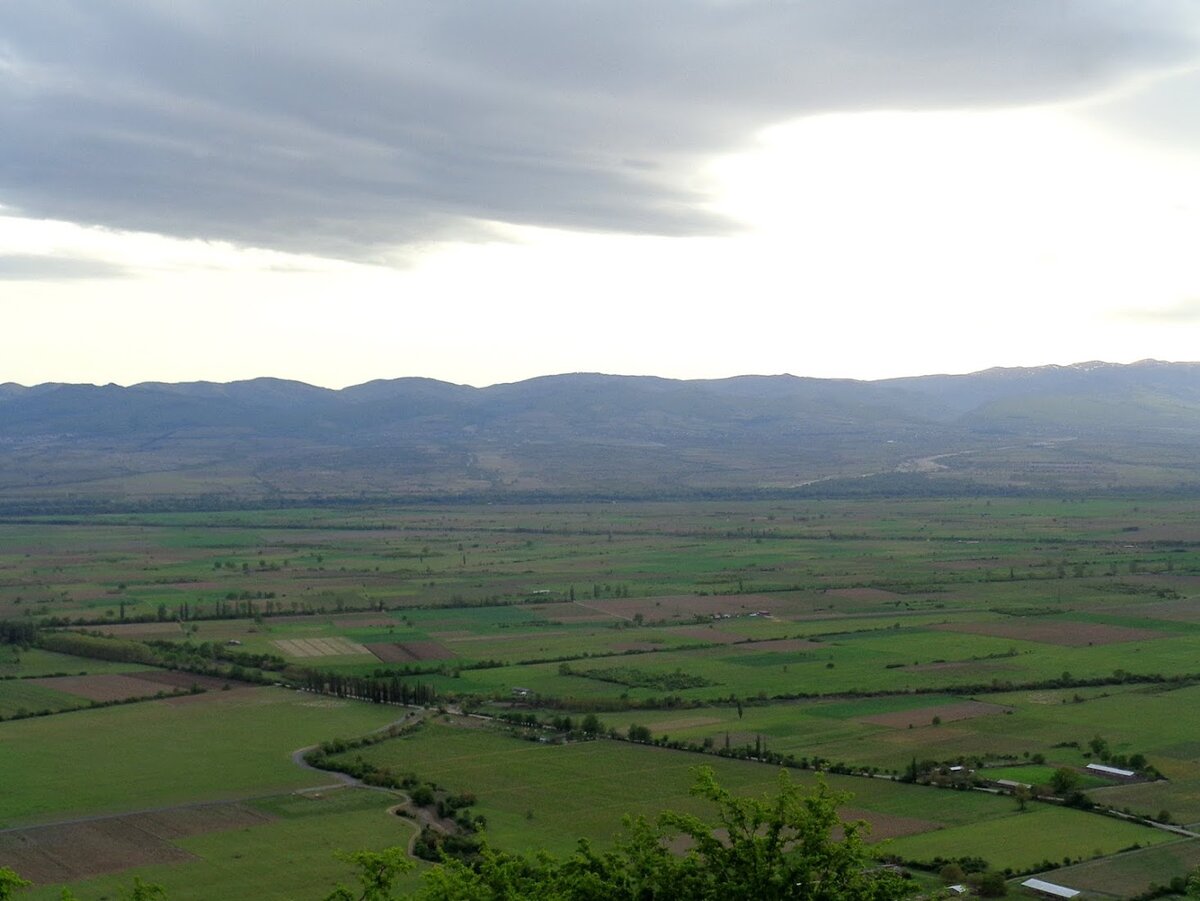 Алазанская Долина Грузия виноградники