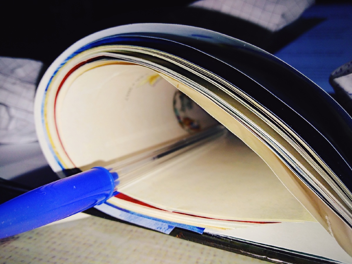                                                              Фото сделано автором 