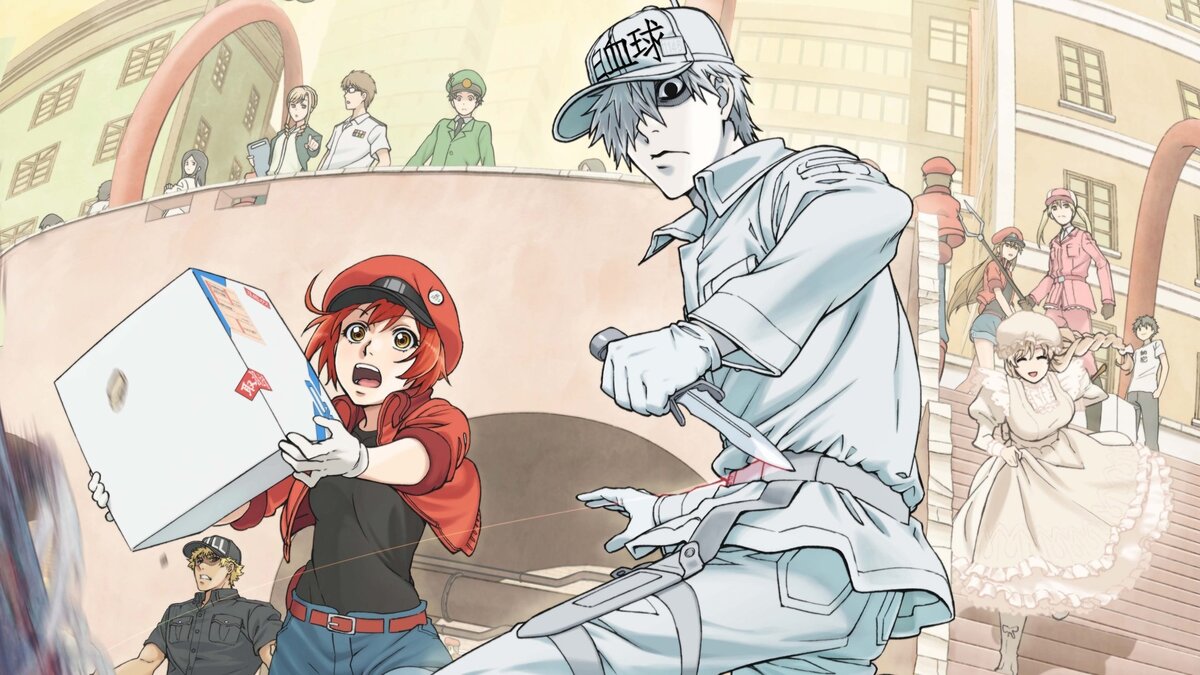 Изображение взято из открытого источника Яндекс картинки