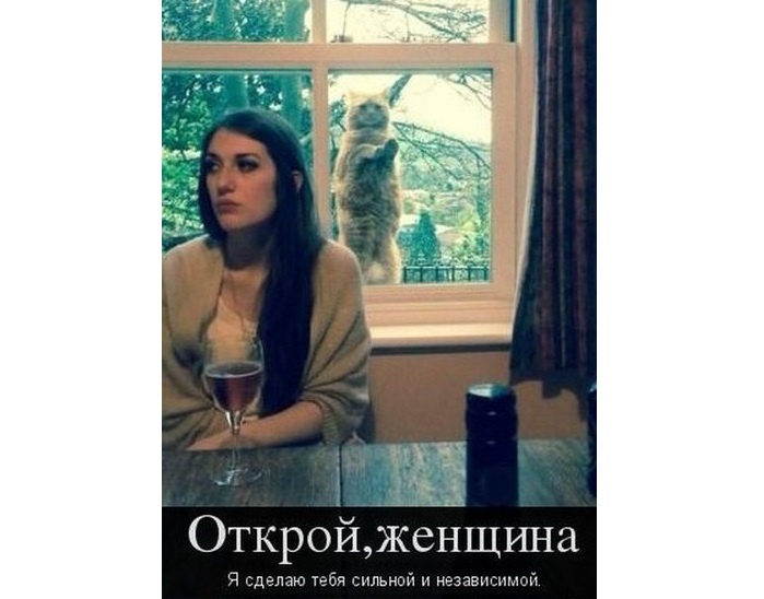 Сегодня сильных и независимых женщин ценят и любят только котики. Но это не точно.