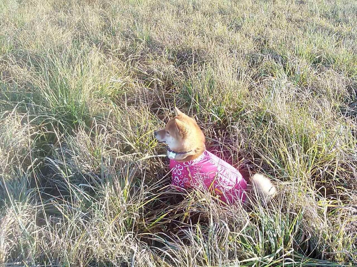 Буду созерцать пейзажи...