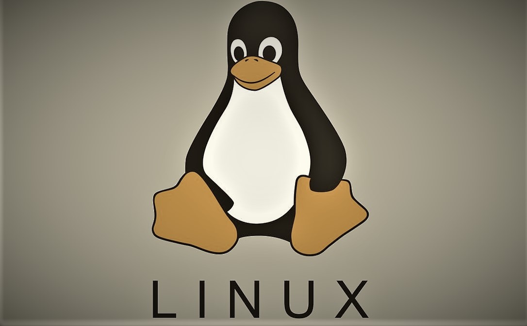 Программа Sudo позволяет администрировать системы на базе Linux.