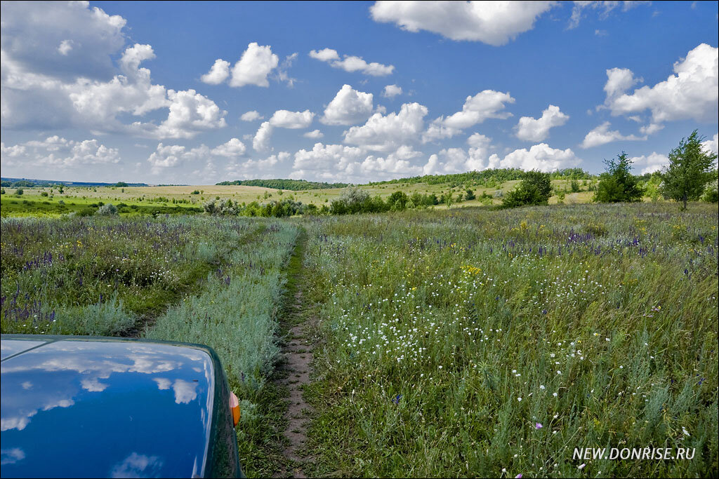 Просёлочная дорога в летней степи
