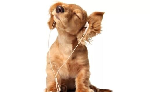 Изображение взято с сайта vk.com