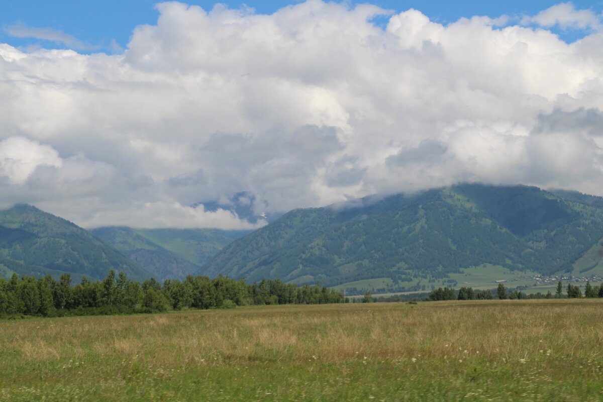 Уймонская долина. Фото из личного архива.