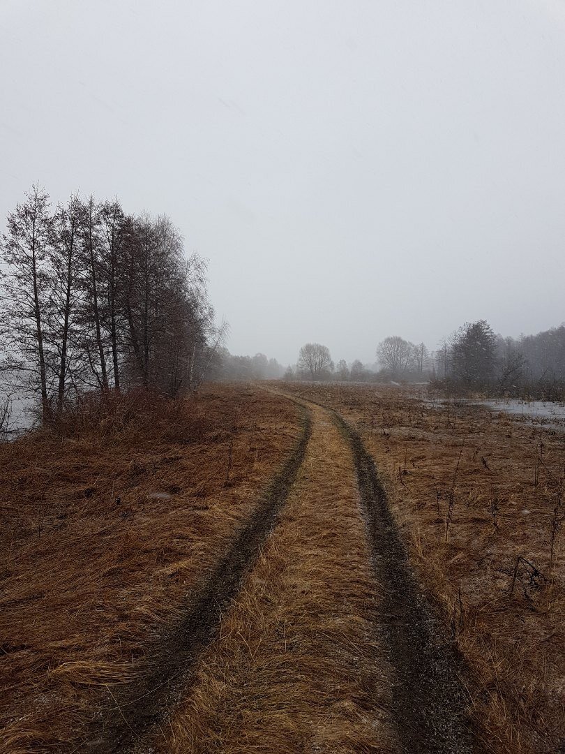 В том же месте, только осенью