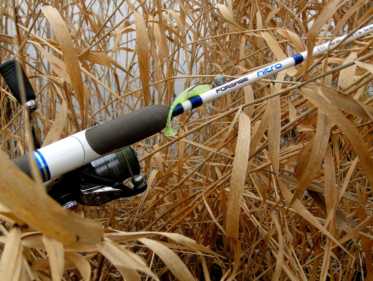 Сегодняшний комплект на рыбалке: спиннинг Forsage Nitro 243 2-12 + катушка Daiwa Ninja 2000 + шнур Forsage Tournament 0.6