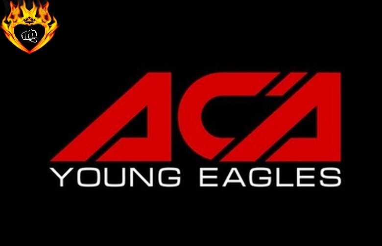 Спорт,ММА,Бои