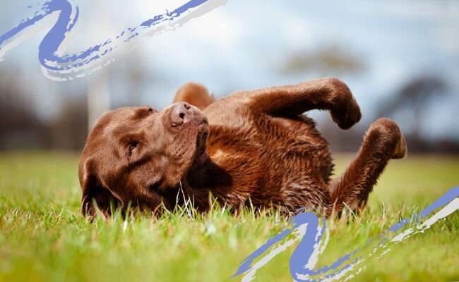 onetouchspark / Canva.com