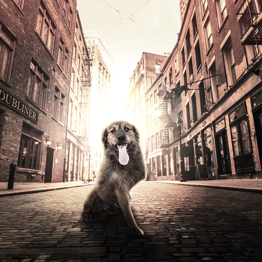 Оно того стоило!