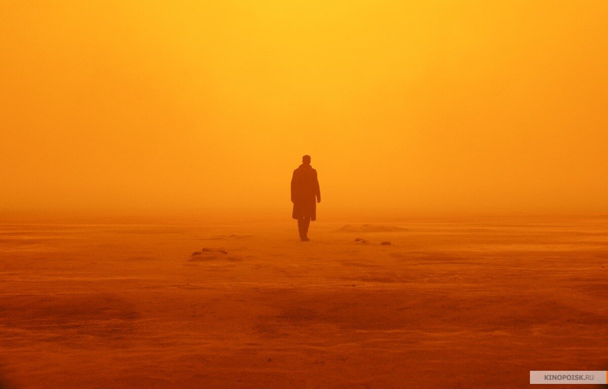 Официальный кадр из фильма «Бегущий по лезвию 2049». Источник kinopoisk.ru