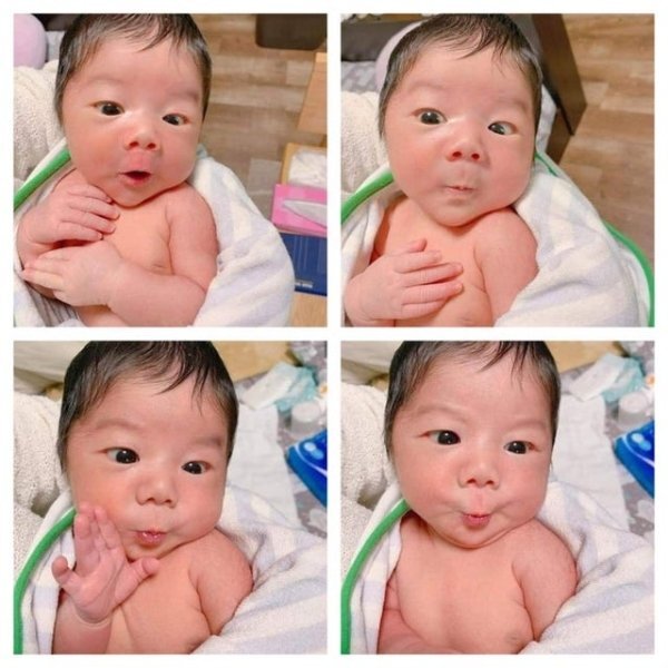 1. Детеныш копирует маму