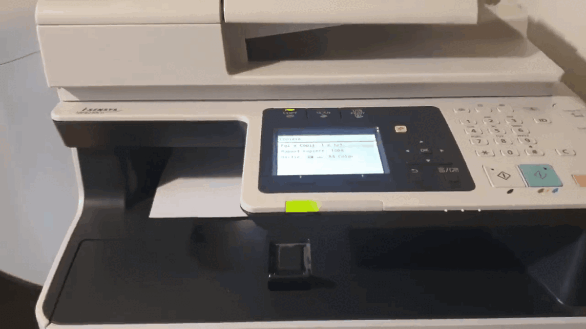 Видео взято из открытого источника