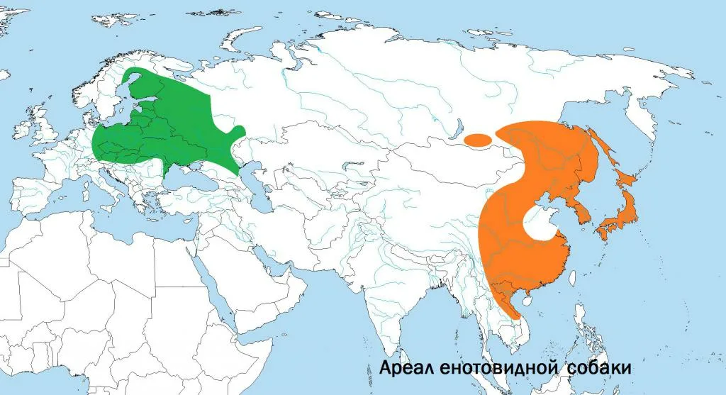 Где обитают дата. Енотовидная собака ареал обитания. Енотовидная собака Орел обитание. Енот ареал обитания в России на карте. Ареал енотовидной собаки в России.
