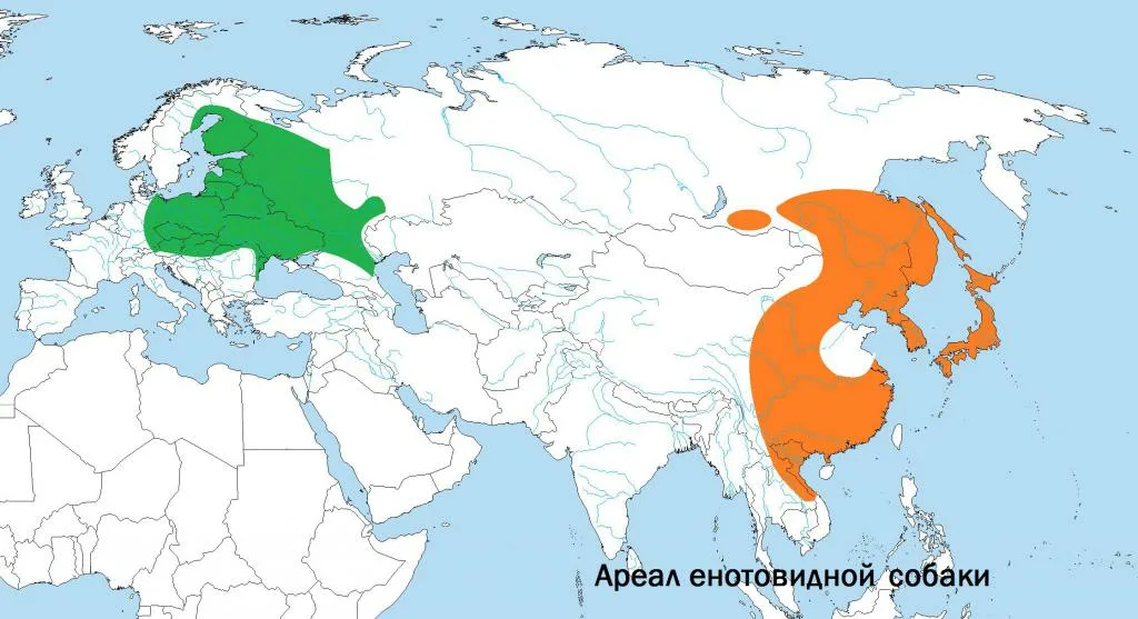 Ареал рыси в россии карта