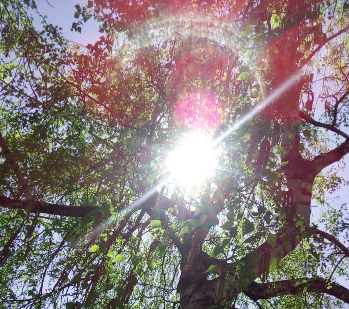 Из личного архива.