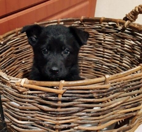 Первый день дома