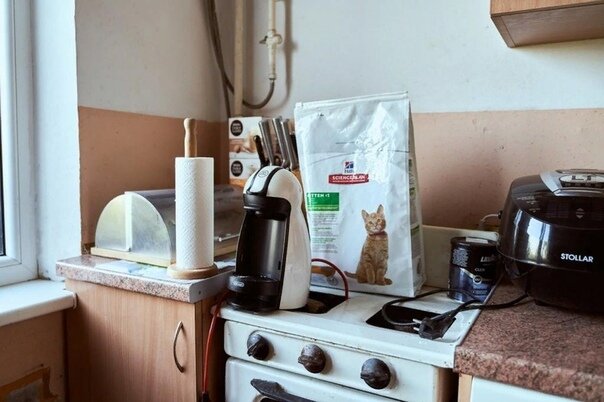 Источник фото: https://vk.com/bookmarks?z=photo-141225409_457311207%2Fwall-141225409_235810