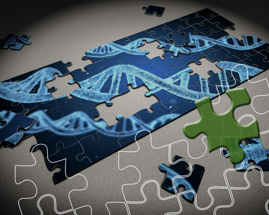 1. Image by Arek Socha from Pixabay 