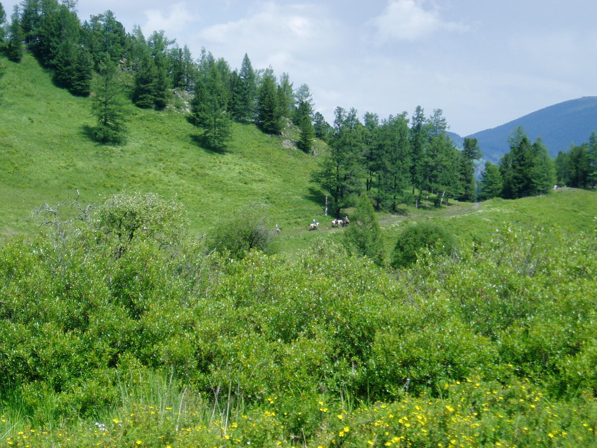 Конная группа впереди