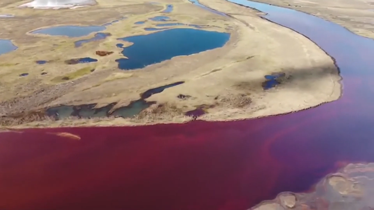 Фото из открытого источника