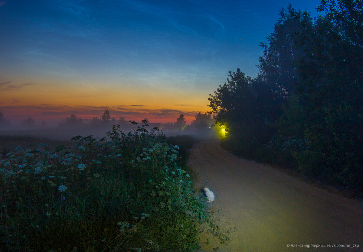 Вечерняя заря и серебристые облака. 4 июля 2016 года.