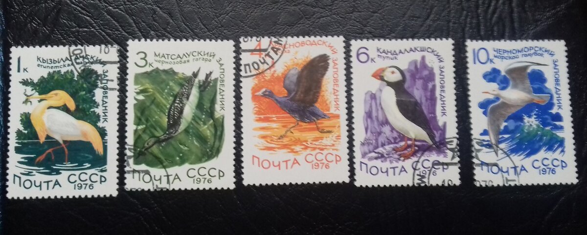 Заповедники. Фото из личной коллекции.