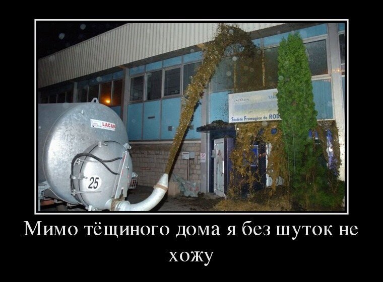 Фото из источника с открытым доступом. 