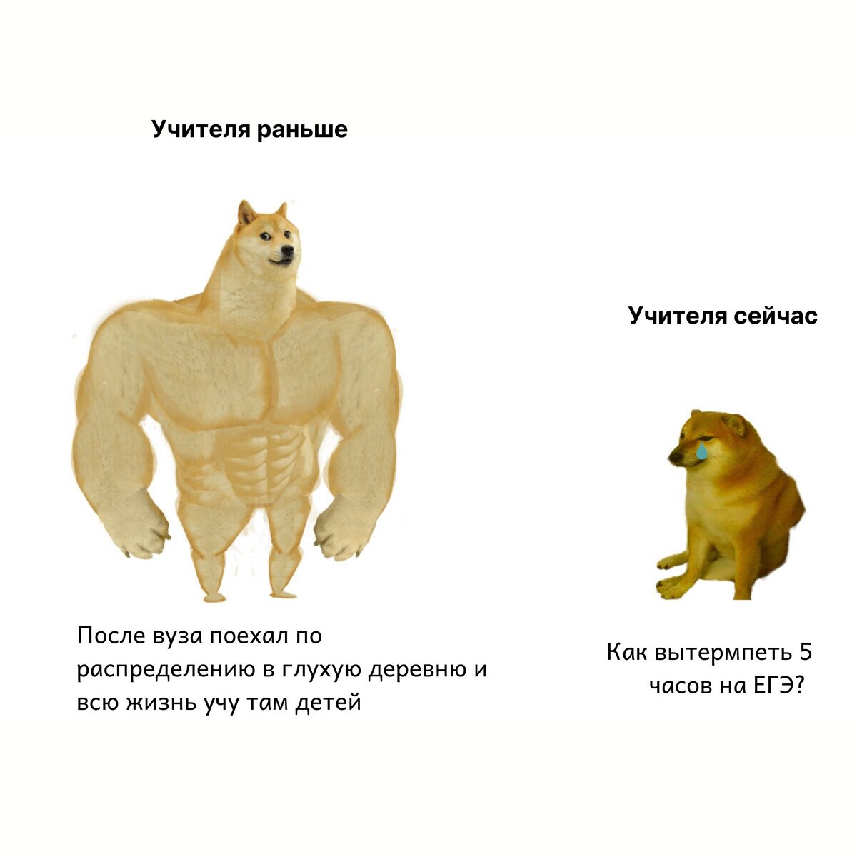 Учителя нынче не те