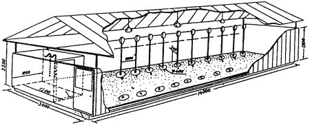 Площадка для подготовки собак к выборке человека и вещи