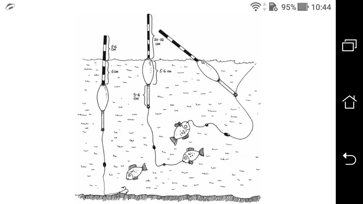 Как настроить поплавочную удочку на карася правильно