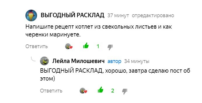 Фото Лейлы Милошевич