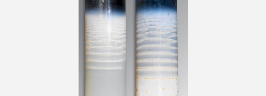 Кольца Лизеганга в пробирке 