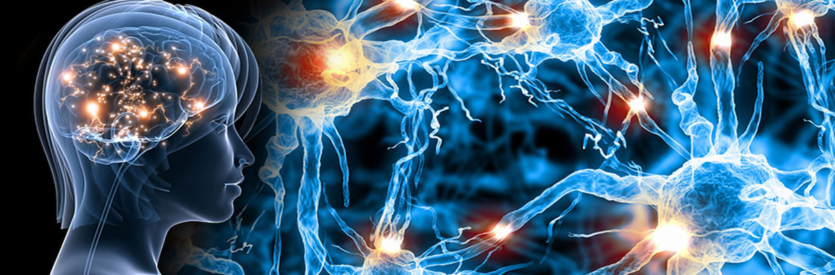 Источник фото: https://clck.ru/S3MY3