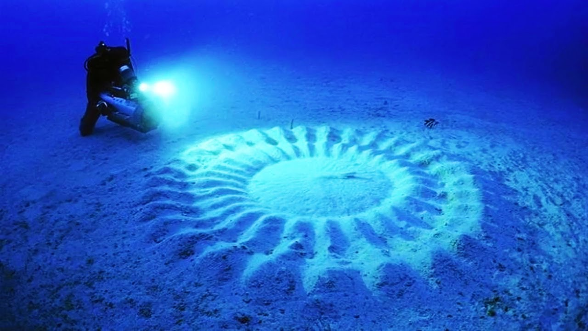 Миру удивительный и загадочный. Подводные «круги на полях», Япония. Японский иглобрюх рыба. Загадочные явления. Странные подводные объекты.