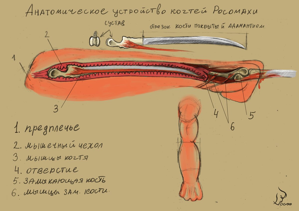 источник https://vk.com/logani