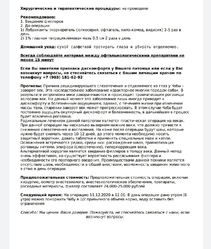 У собачки из приюта с аутоиммунным заболеванием, заворот обоих век:  требуется операция и помощь | 