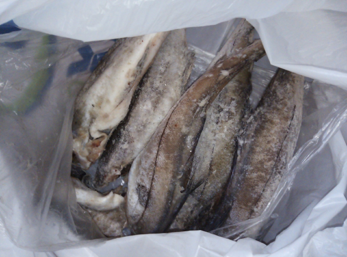 Пишка целая. Филе и фарш сделаю сама.