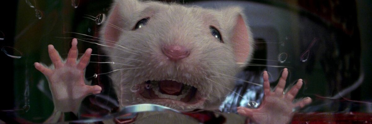 Стюарт Литтл