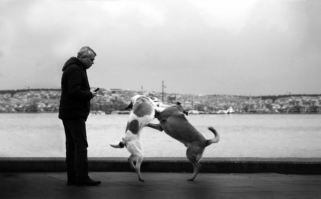 Unsplash.com
