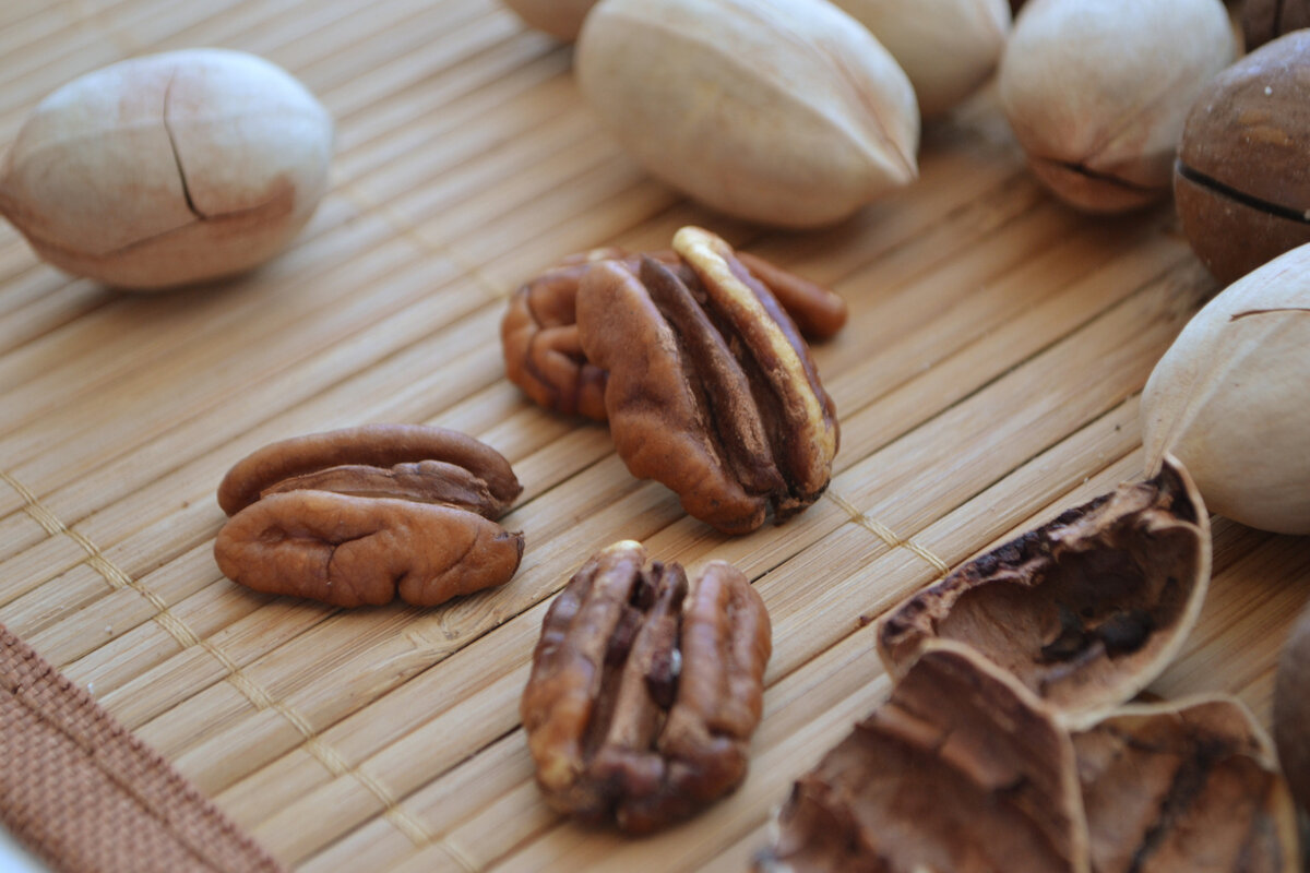 National Pecan Sandy Day