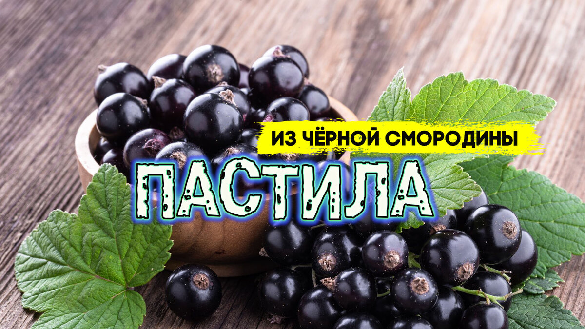 Пастила из черной смородины | Готовим дома вкусно и красиво! | Дзен