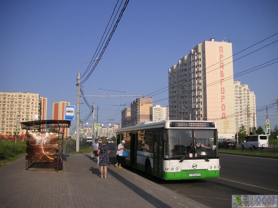 Утро, остановка.