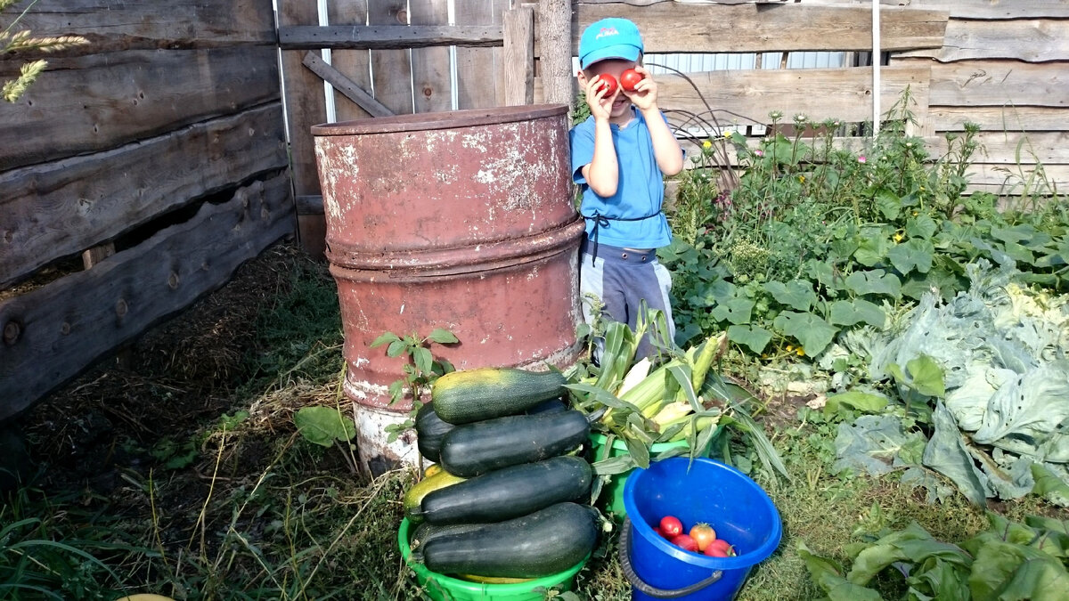 Реальная ферма. Почему в игру 